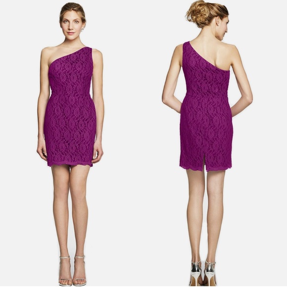 D.Tutera/Gather&Gown* Lace One Shoulder Mini Bridesmaid/Party Dress~Framboise 10 - Picture 1 of 8